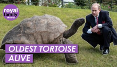 Prince Edward Comes Face to Face With Oldest Tortoise