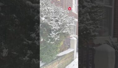 Snow falls on Manchester amid freezing temperatures #shorts #weather #manchester #snow #climate