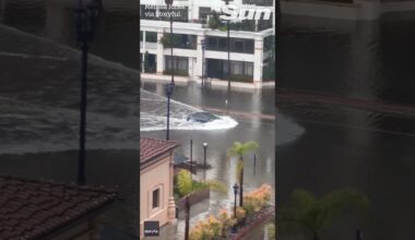 Tesla plows through flooded San Diego street with ease