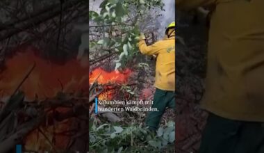 Feuerwehrmann rettet Maulwurf-Baby vor Waldbrand in Kolumbien | DW Nachrichten