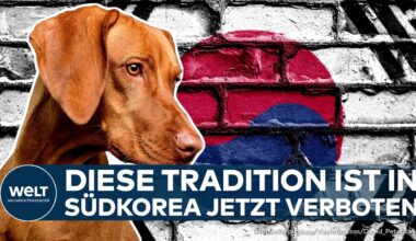 SÜDKOREA: Traditionsbruch mit dieser umstrittenen Praxis! Parlament trifft wegweisende Entscheidung