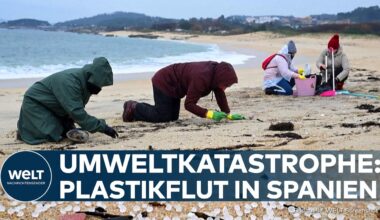 UMWELTKATASTROPHE IN GALIZIEN: Freiwillige kämpfen gegen Mikroplastik an spanischer Küste