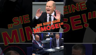 "SIE SIND EINE MIMOSE" - Olaf Scholz zu Friedrich Merz im Bundestag | WELT #shorts