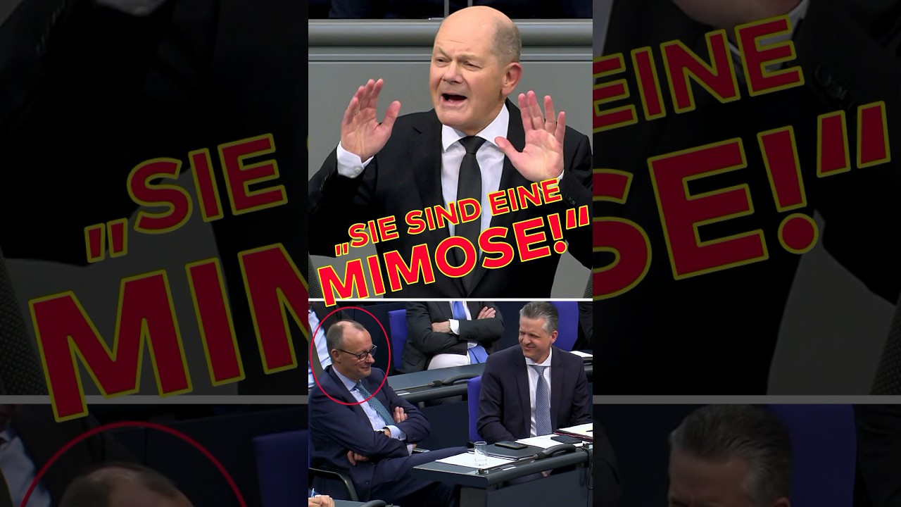 "SIE SIND EINE MIMOSE" - Olaf Scholz zu Friedrich Merz im Bundestag | WELT #shorts