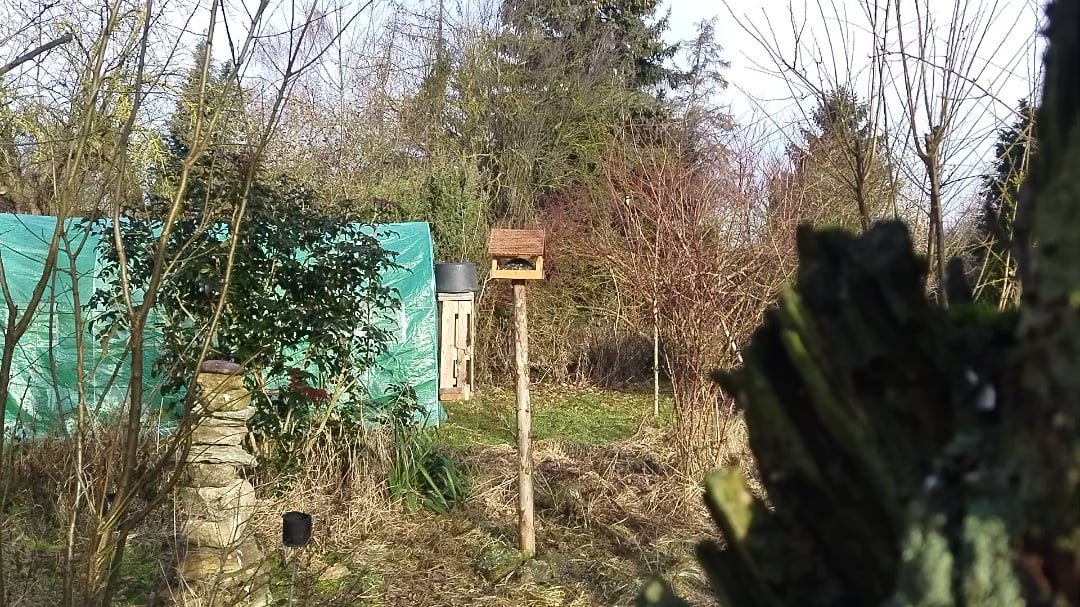 Denk in der kalten Jahreszeit an die heimischen Vögel.