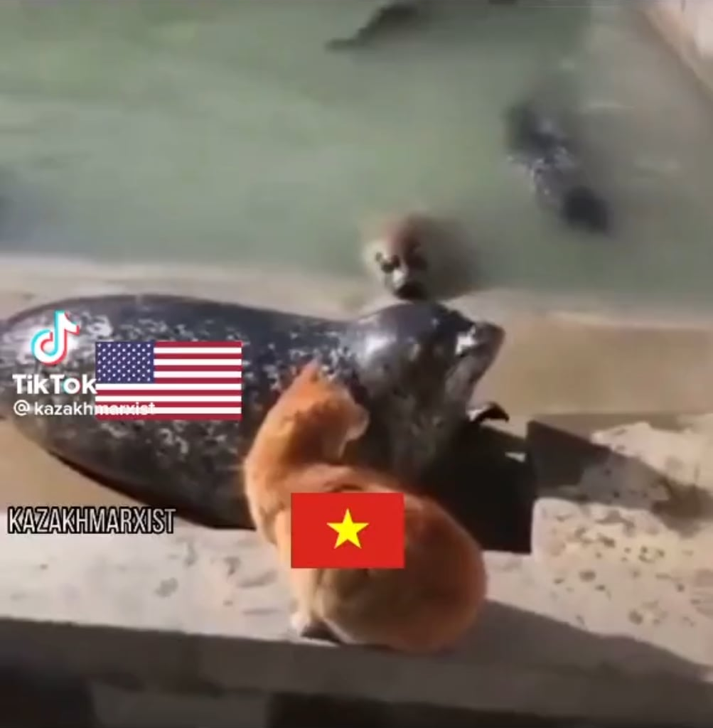 Vietnamkrieg, colorized