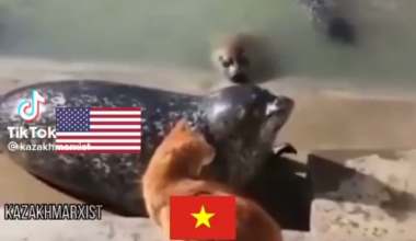 Vietnamkrieg, colorized