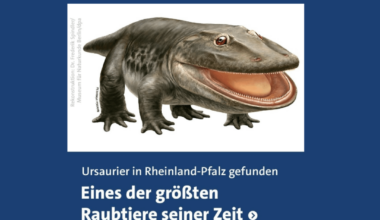 Es ist Mittwoch, meine Urzeitkerle 🐸