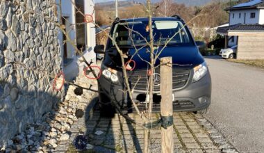 Apfel- und Birnbaumschnitt so richtig?