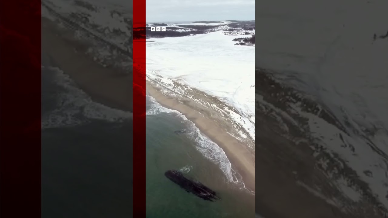 Ghostly shipwreck appears on beach of Cape Ray in Newfoundland, Canada. #Shorts #Canada #BBCNews