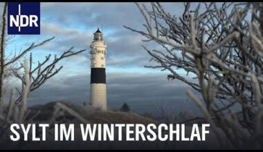 Sylt im Winter - Auszeit vom Saisontrubel | Nordseereport | NDR Doku