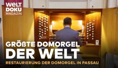 GRÖSSTE DOMORGEL DER WELT: Restaurierung von Passaus monumentaler Domorgel! | MAGAZIN