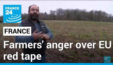 Anger over European regulations grows among French farmers • FRANCE 24 English