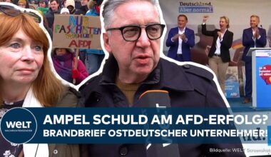 DEUTSCHLAND: Ampel im Visier! Schuld am AfD-Erfolg? Brandbrief ostdeutscher Unternehmer!