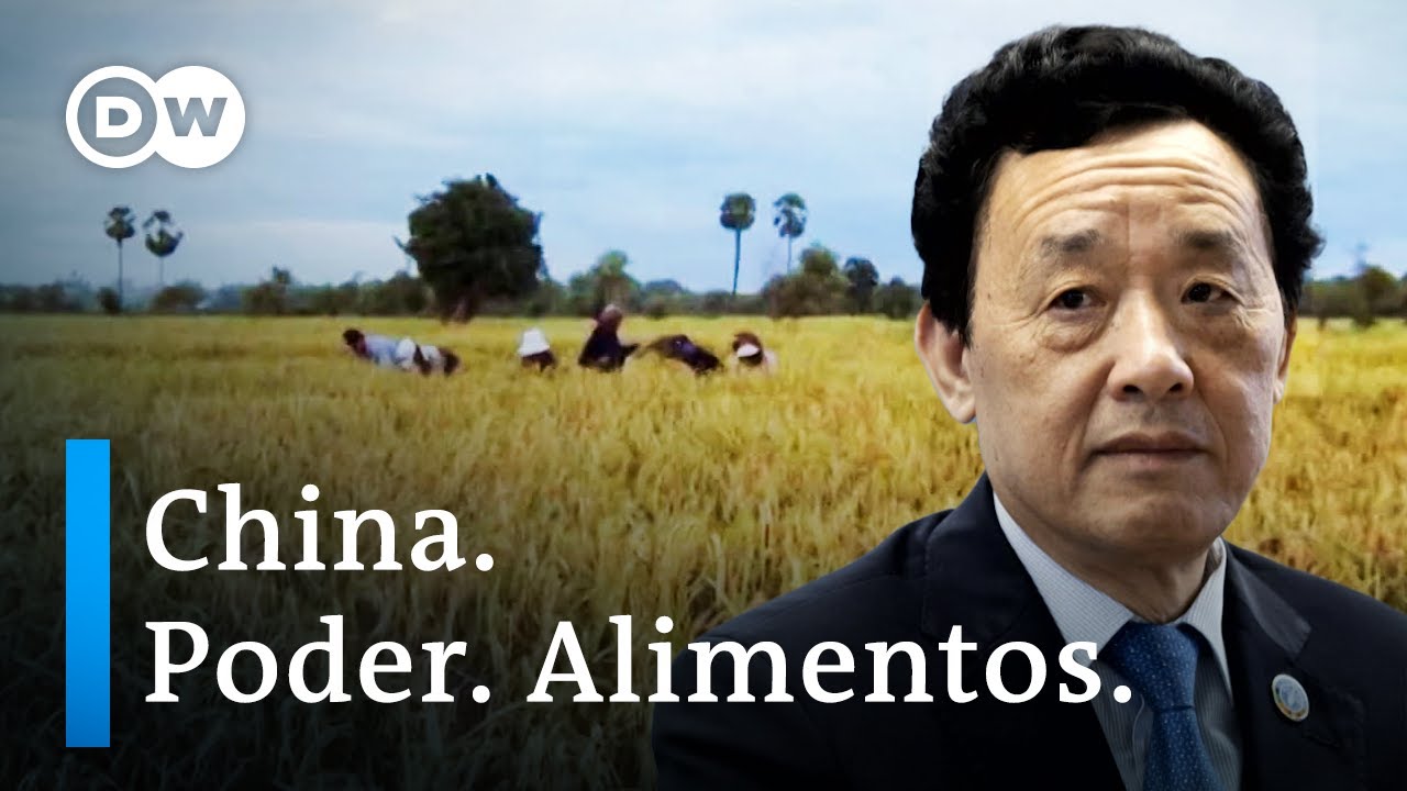 La influencia china en la FAO | DW Documental