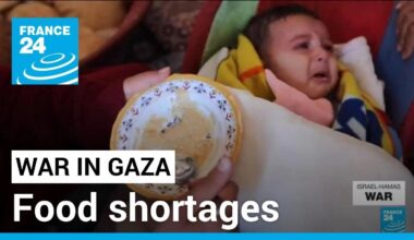 Parents in Gaza worry over their children’s needs amid severe shortages • FRANCE 24 English