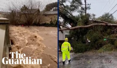 Heavy storms down trees and flood roads in California