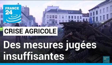 À Bruxelles, les mesures d'aides annoncées par l'Europe sont insuffisantes pour les agriculteurs