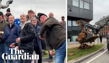 Farmers throw eggs and dump manure in Belgium protest