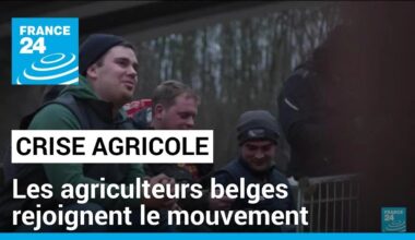 Colère agricole en Europe :  blocages des agriculteurs belges autour de Bruxelles • FRANCE 24