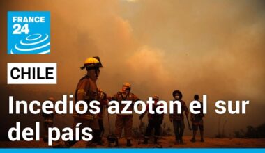 Chile: al menos 19 muertos y estado de excepción por múltiples incendios forestales • FRANCE 24