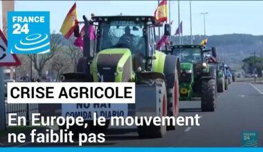 A travers l'Europe, le mouvement de contestation des agriculteurs ne faiblit pas • FRANCE 24