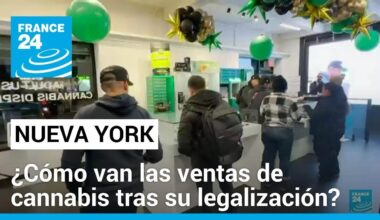 La venta legal de cannabis en Nueva York ha generado menos ingresos de los esperados • FRANCE 24