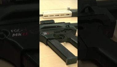 3D printed guns seized in France