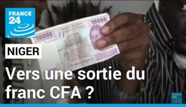 Niger, Mali et Burkina Faso : vers une sortie du franc CFA • FRANCE 24