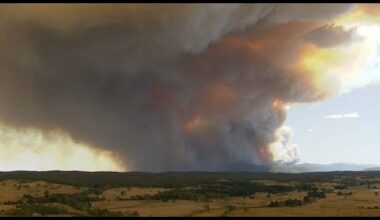 No Comment : des incendies ravagent un État du sud de l'Australie