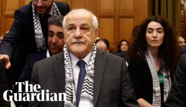 Palestine's UN ambassador holds back tears during appeal to world court