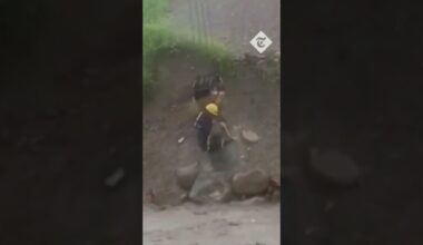 A dog trapped by raging flood water in Bolivia is rescued by a construction worker hung from a crane