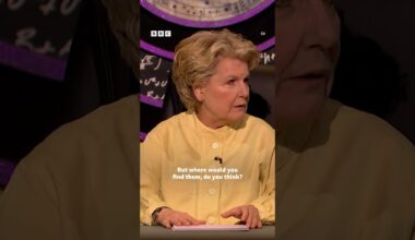 Sandi walked right into that one 🐻 #QI #iPlayer