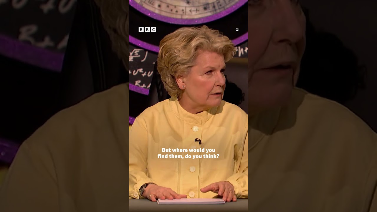 Sandi walked right into that one 🐻 #QI #iPlayer