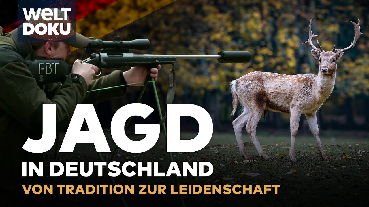 MODERNE JAGD IN DEUTSCHLAND: Wildregulierung vs. Tierschutz - Wildschweine & Rehe | WELT HD DOKU