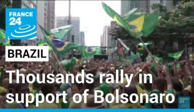 Thousands rally for Brazil's Bolsonaro amid legal firestorm • FRANCE 24 English