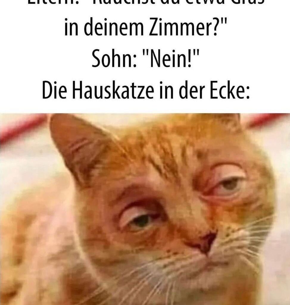 Ich doch nicht!