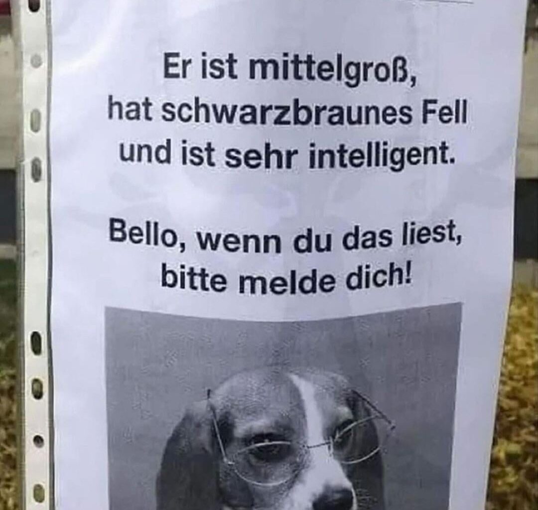 Komm zurück Bello🐶