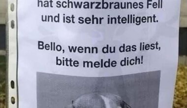 Komm zurück Bello🐶