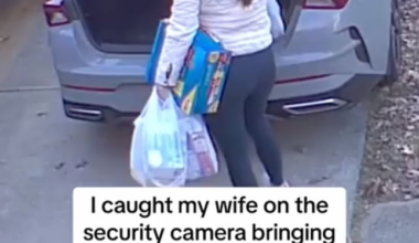 Caught my wife on the security camera bringing all the groceries in one trip