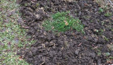 Terrassengarten umstechen? Wie weiter?