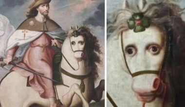 Judging by the fact that the horse has flowers on its head, he has never seen flowers either