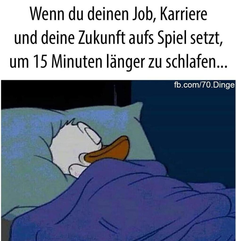 Jeden Morgen das selbe