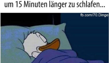 Jeden Morgen das selbe