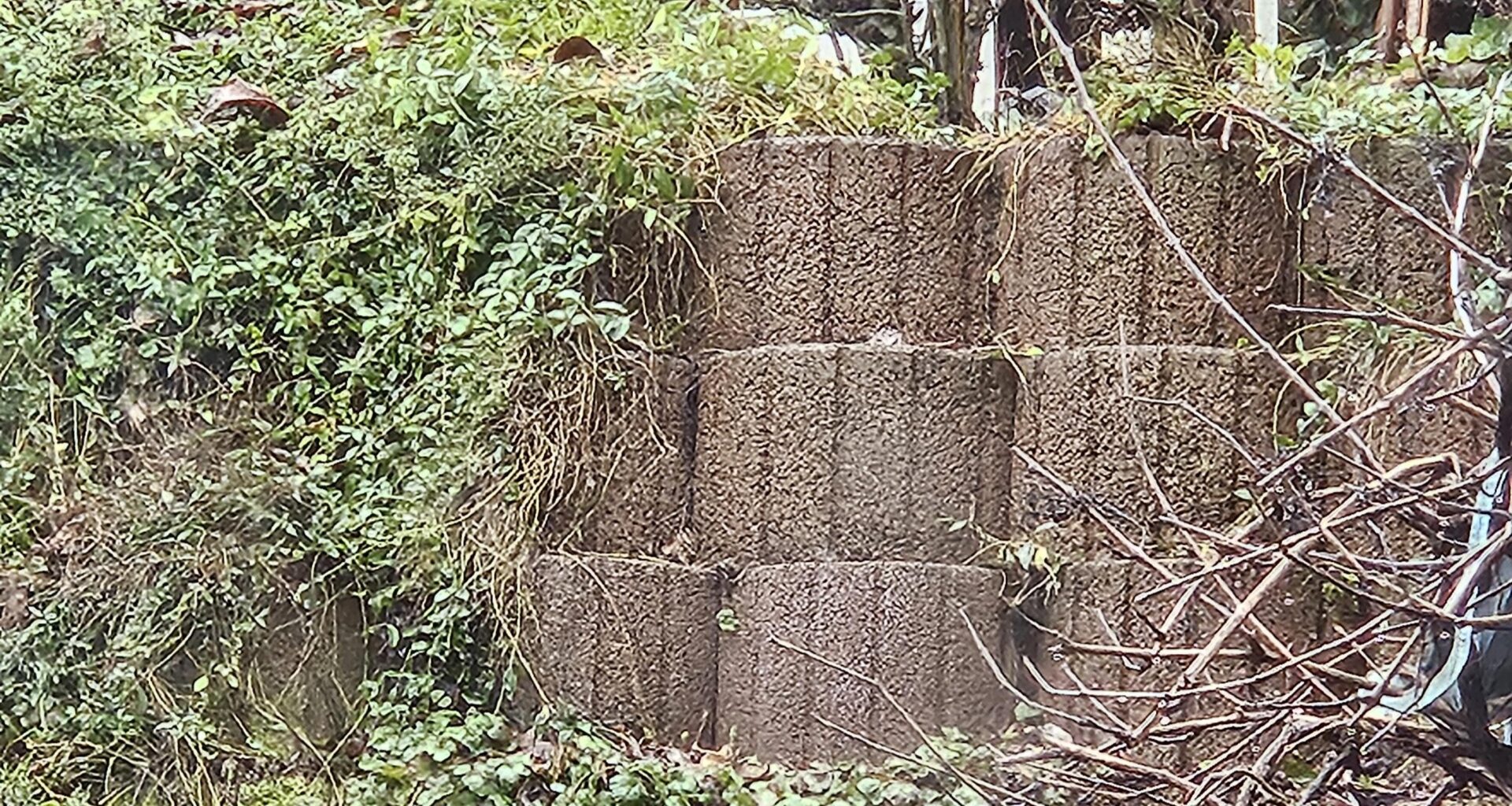 Pflanzsteine am Hang so bepflanzen, dass sie versteckt sind?