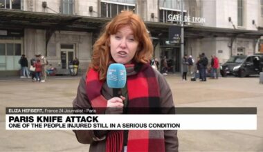 Knife attack at Paris's Gare de Lyon train station wounds three • FRANCE 24 English