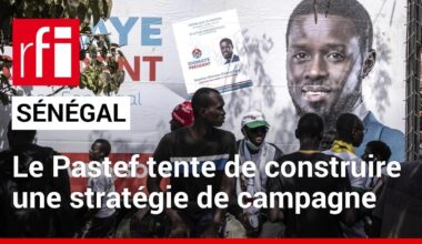 Présidentielle au Sénégal : l'ancien Pastef à la recherche d'une nouvelle stratégie de campagne