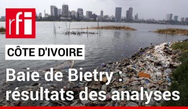 Côte d'Ivoire : les eaux de la baie de Bietry asphyxiées par une pollution de type « organique »