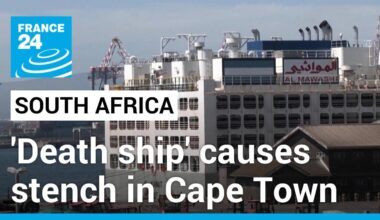 ‘Death ship’: Vessel carrying 19,000 cattle causes stench in Cape Town • FRANCE 24 English