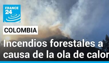 Ola de calor en Colombia acaba con hectáreas de bosque a causa de los incendios forestales